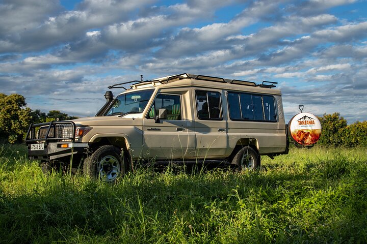 Mikumi & Ruaha 5-day safari package